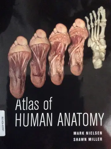 Cover of Atlas of Human Anatomy, First Edition