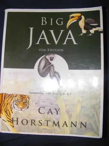 Cover of Big Java