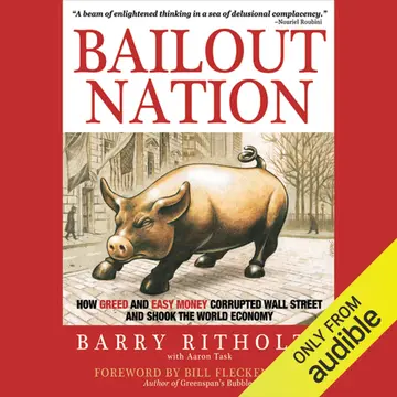 Cover of Bailout Nation