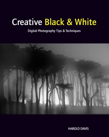 Cover of Creative Black and White