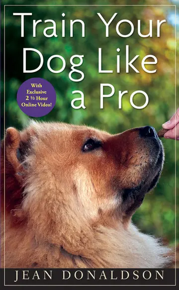Cover of Train Your Dog Like a Pro