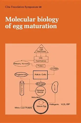 Cover of Modern Auditing