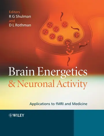 Cover of Brain Energetics and Neuronal Activity