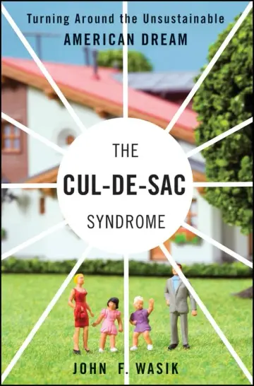 Cover of The Cul–de–Sac Syndrome