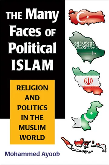 Cover of The Many Faces of Political Islam