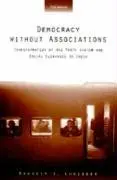 Cover of Democracy Without Associations