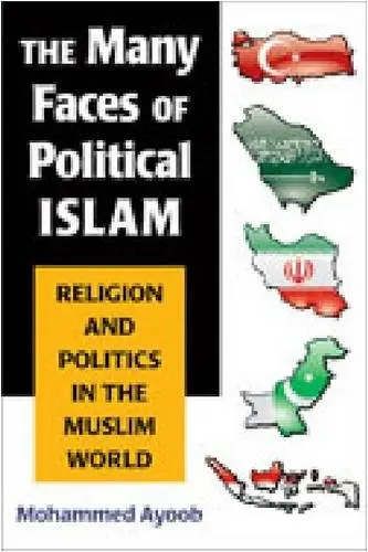 Cover of The Many Faces of Political Islam