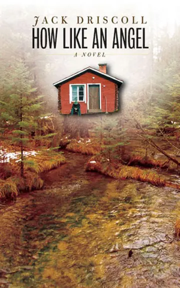 Cover of How Like an Angel
