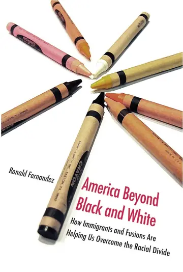 Cover of America Beyond Black and White