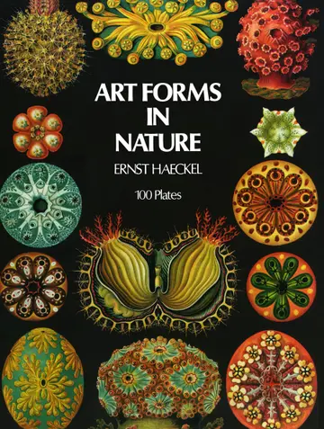 Cover of Art Forms in Nature