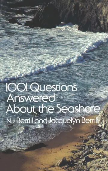 Cover of 1001 Questions Answered About the Seashore
