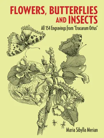 Cover of Flowers, Butterflies and Insects