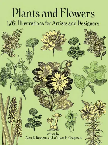 Cover of Plants and Flowers