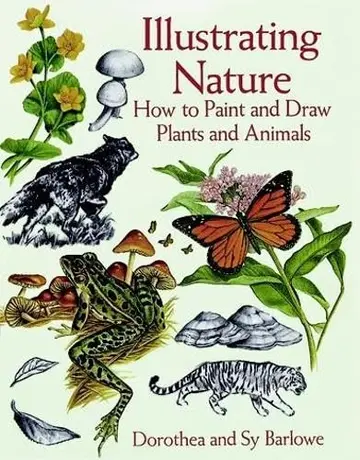 Cover of Illustrating Nature