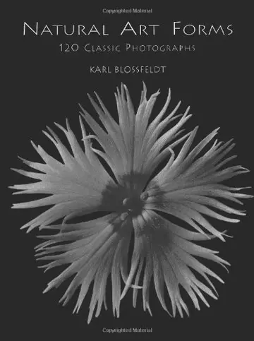 Cover of Natural Art Forms