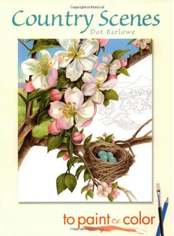 Cover of Country Scenes to Paint or Color