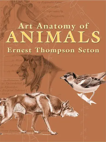 Cover of Art Anatomy of Animals