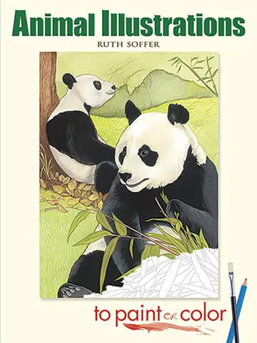 Cover of Animal Illustrations to Paint or Color