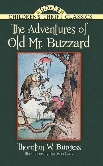 Cover of The Adventures of Old Mr. Buzzard