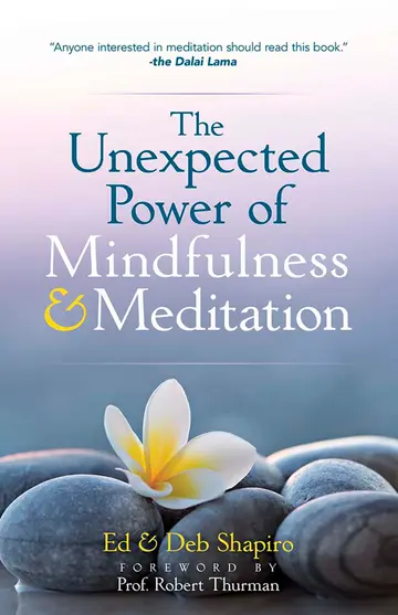 Cover of The Unexpected Power of Mindfulness and Meditation