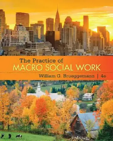 Cover of The Practice of Macro Social Work