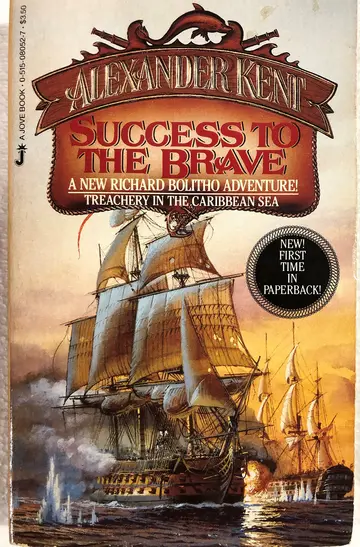 Cover of Success to the Brave