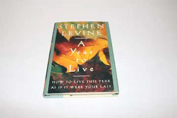 Cover of A Year to Live