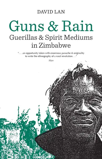 Cover of Guns and Rain