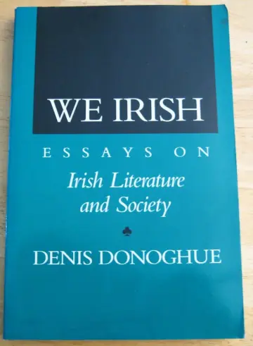 Cover of We Irish – Essays Irish