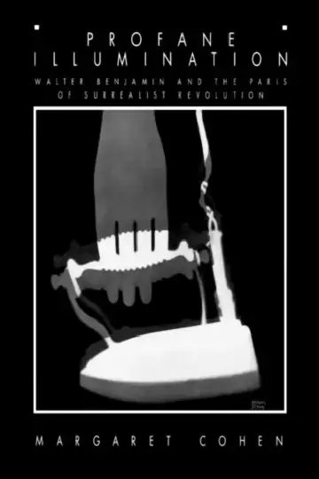 Cover of Profane Illumination