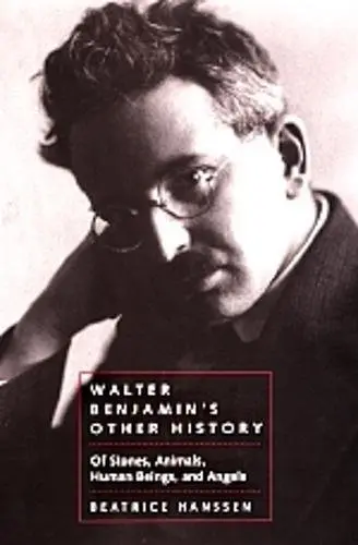 Cover of Walter Benjamin's Other History
