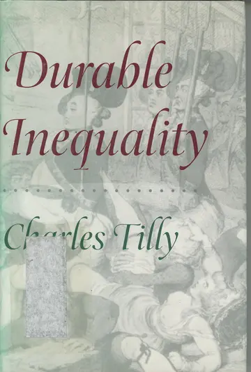 Cover of Durable Inequality