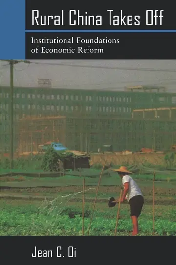 Cover of Rural China Takes Off