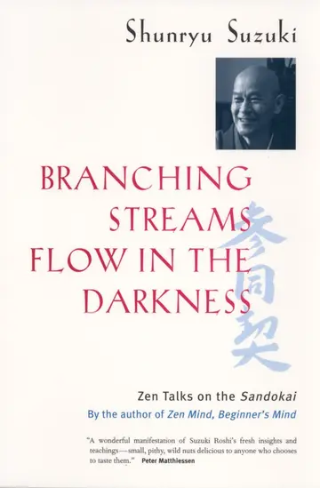 Cover of Branching Streams Flow in the Darkness