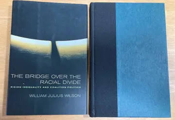 Cover of The Bridge over the Racial Divide – Rising Inequality & Coalition Politics