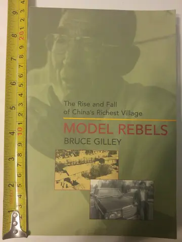 Cover of Model Rebels