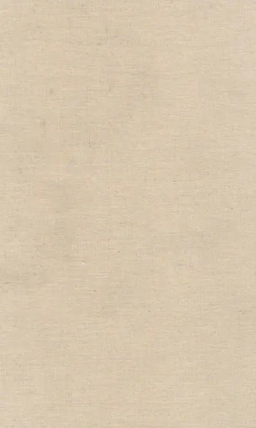 Cover of Twice Dead