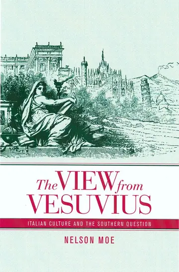 Cover of The View from Vesuvius – Italian Culture & the Southern Question