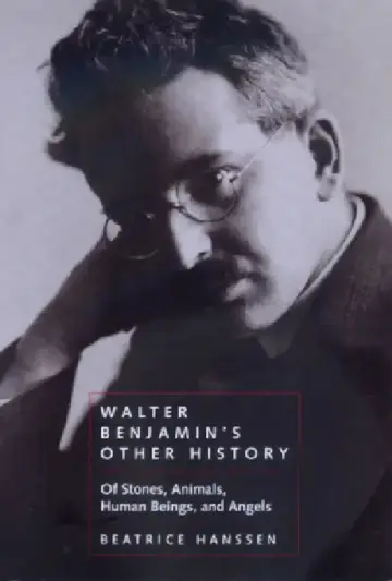 Cover of Walter Benjamin's Other History
