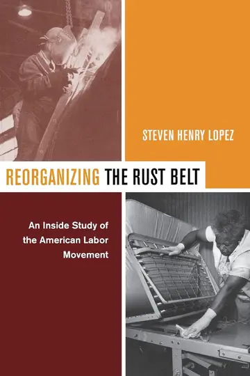 Cover of Reorganizing the Rust Belt