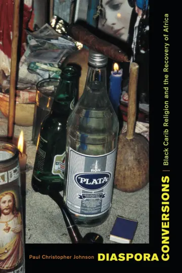 Cover of Diaspora Conversions