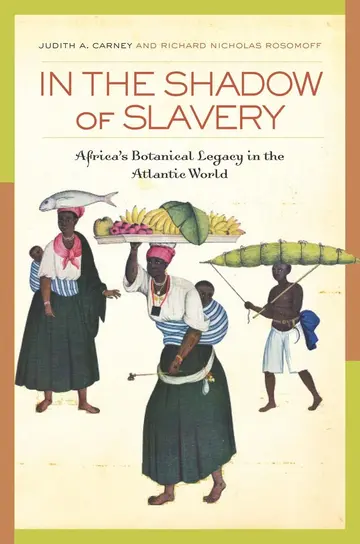 Cover of In the Shadow of Slavery