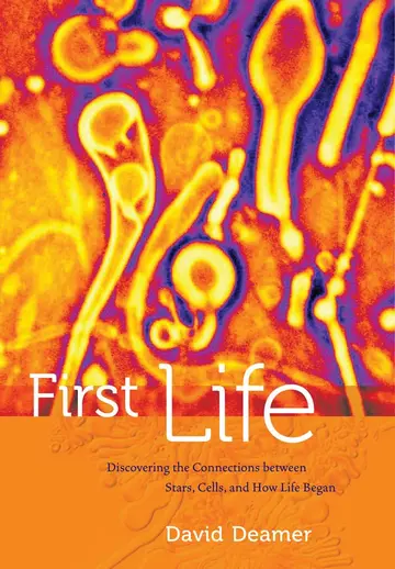 Cover of First Life