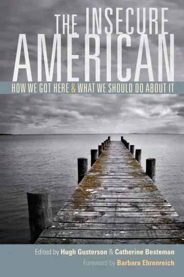 Cover of The Insecure American – How We Got Here and What We Should Do About It