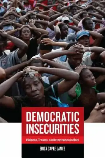 Cover of Democratic Insecurities
