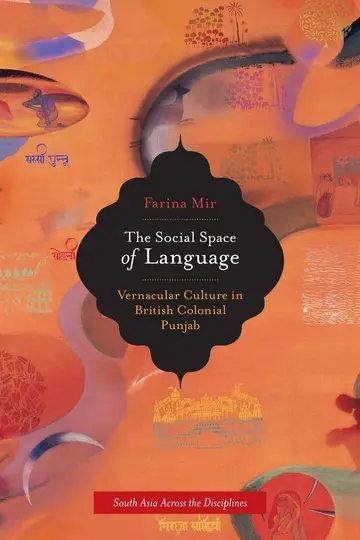 Cover of The Social Space of Language