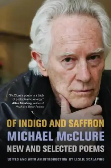 Cover of Of Indigo and Saffron