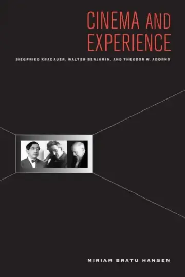 Cover of Cinema and Experience