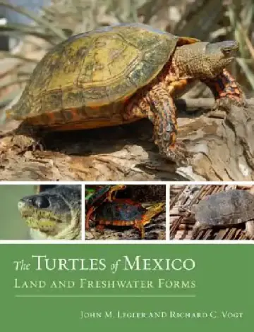 Cover of The Turtles of Mexico