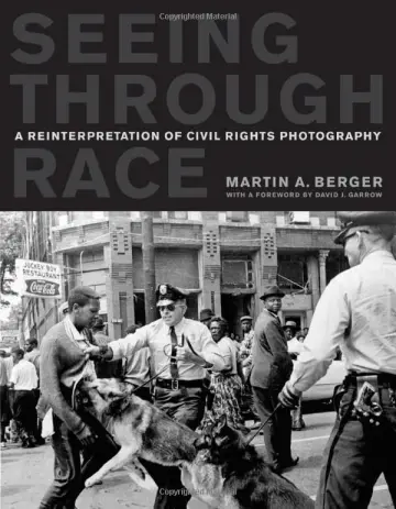Cover of Seeing Through Race